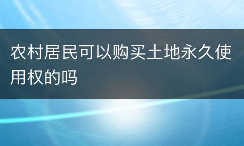 农村居民可以购买土地永久使用权的吗