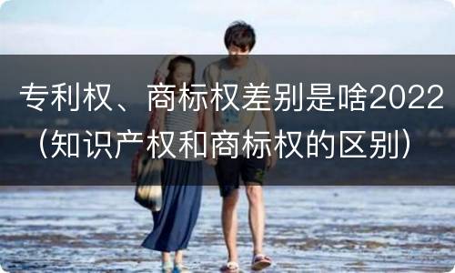 专利权、商标权差别是啥2022（知识产权和商标权的区别）