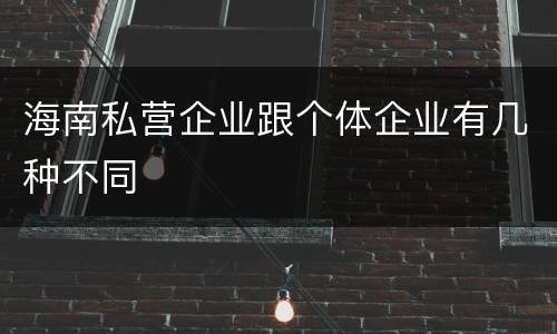 海南私营企业跟个体企业有几种不同