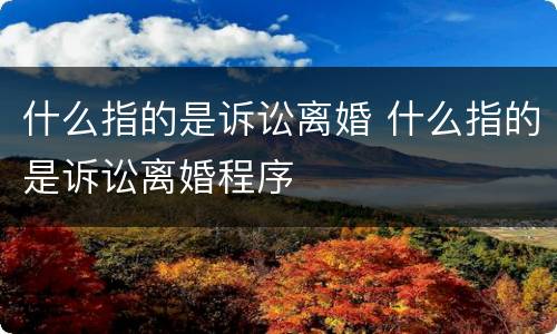 什么指的是诉讼离婚 什么指的是诉讼离婚程序