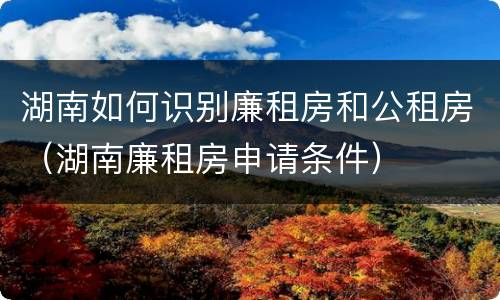 湖南如何识别廉租房和公租房（湖南廉租房申请条件）