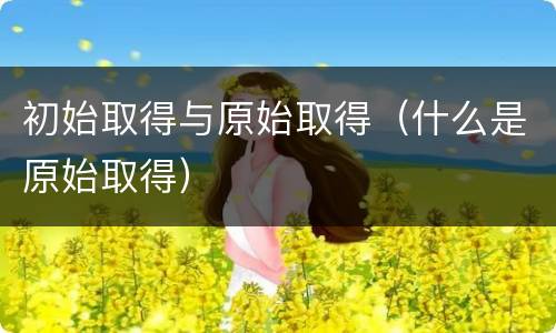 初始取得与原始取得（什么是原始取得）