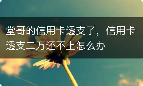堂哥的信用卡透支了，信用卡透支二万还不上怎么办