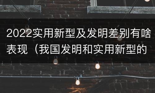 2022实用新型及发明差别有啥表现（我国发明和实用新型的标准）