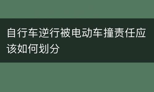 自行车逆行被电动车撞责任应该如何划分