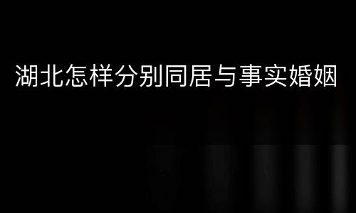 湖北怎样分别同居与事实婚姻
