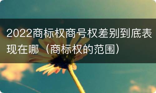 2022商标权商号权差别到底表现在哪（商标权的范围）