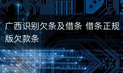 广西识别欠条及借条 借条正规版欠款条