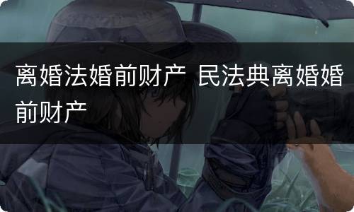 离婚法婚前财产 民法典离婚婚前财产