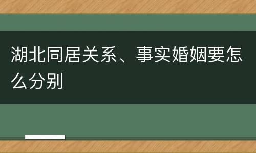 湖北同居关系、事实婚姻要怎么分别