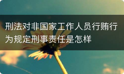 刑法对非国家工作人员行贿行为规定刑事责任是怎样