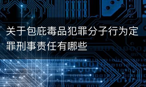 关于包庇毒品犯罪分子行为定罪刑事责任有哪些