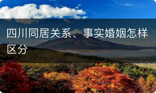 四川同居关系、事实婚姻怎样区分