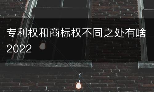 专利权和商标权不同之处有啥2022