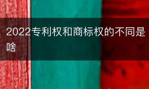 2022专利权和商标权的不同是啥