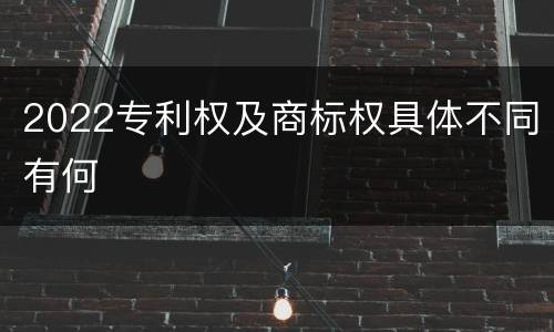 2022专利权及商标权具体不同有何