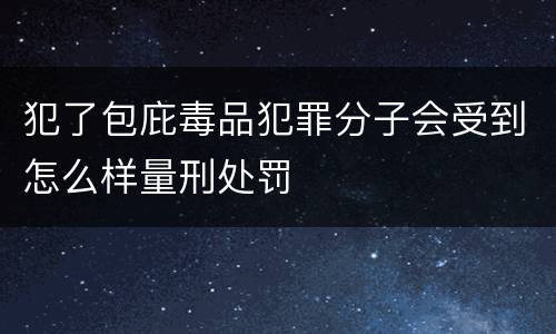犯了包庇毒品犯罪分子会受到怎么样量刑处罚