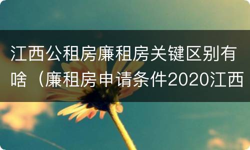 江西公租房廉租房关键区别有啥（廉租房申请条件2020江西）