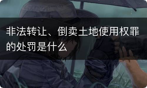 非法转让、倒卖土地使用权罪的处罚是什么