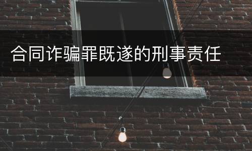 合同诈骗罪既遂的刑事责任
