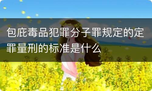 包庇毒品犯罪分子罪规定的定罪量刑的标准是什么
