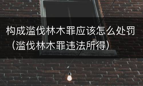 构成滥伐林木罪应该怎么处罚（滥伐林木罪违法所得）
