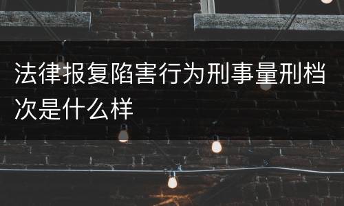 法律报复陷害行为刑事量刑档次是什么样
