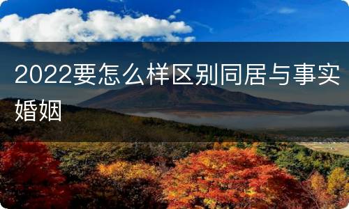 2022要怎么样区别同居与事实婚姻