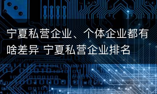 宁夏私营企业、个体企业都有啥差异 宁夏私营企业排名