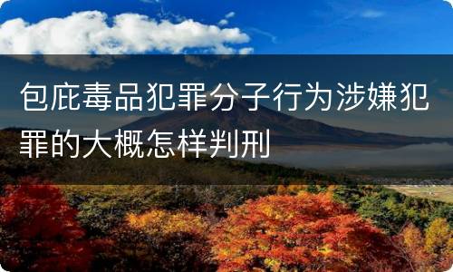 包庇毒品犯罪分子行为涉嫌犯罪的大概怎样判刑