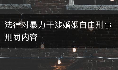 法律对暴力干涉婚姻自由刑事刑罚内容