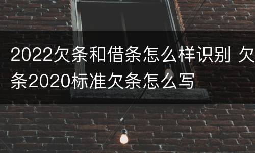 2022欠条和借条怎么样识别 欠条2020标准欠条怎么写