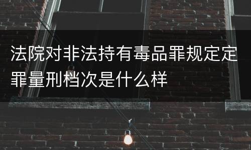 法院对非法持有毒品罪规定定罪量刑档次是什么样