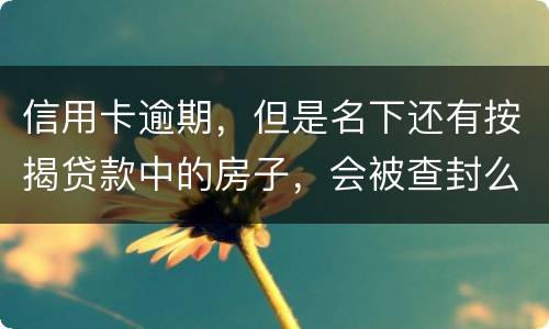 信用卡逾期，但是名下还有按揭贷款中的房子，会被查封么