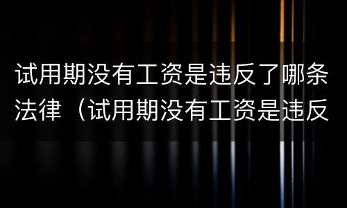 试用期没有工资是违反了哪条法律（试用期没有工资是违反了哪条法律的）