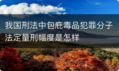 我国刑法中包庇毒品犯罪分子法定量刑幅度是怎样