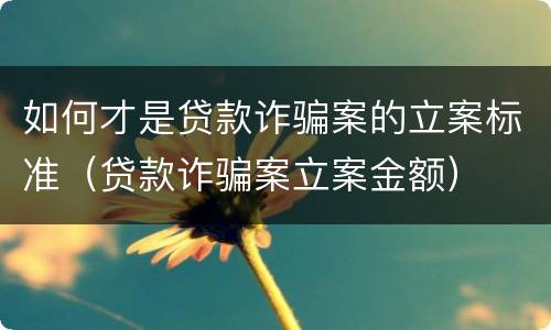 如何才是贷款诈骗案的立案标准（贷款诈骗案立案金额）