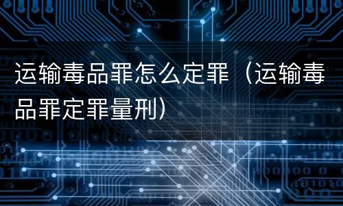 运输毒品罪怎么定罪（运输毒品罪定罪量刑）