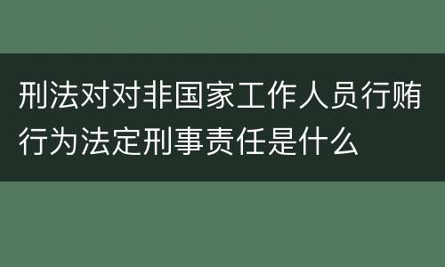 刑法对对非国家工作人员行贿行为法定刑事责任是什么