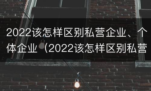 2022该怎样区别私营企业、个体企业（2022该怎样区别私营企业,个体企业呢）