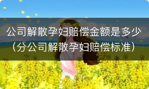 公司解散孕妇赔偿金额是多少(分公司解散孕妇赔偿标准)