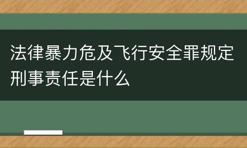 法律暴力危及飞行安全罪规定刑事责任是什么
