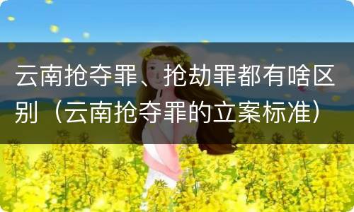 云南抢夺罪、抢劫罪都有啥区别（云南抢夺罪的立案标准）