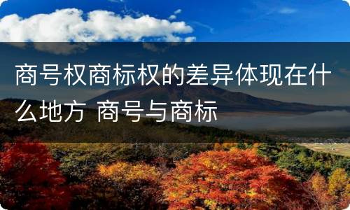商号权商标权的差异体现在什么地方 商号与商标