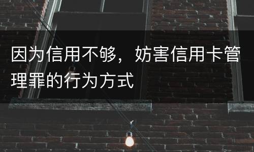 因为信用不够，妨害信用卡管理罪的行为方式