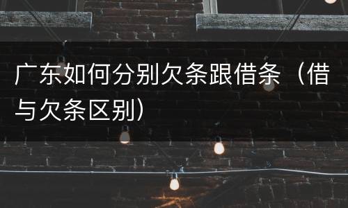 广东如何分别欠条跟借条（借与欠条区别）