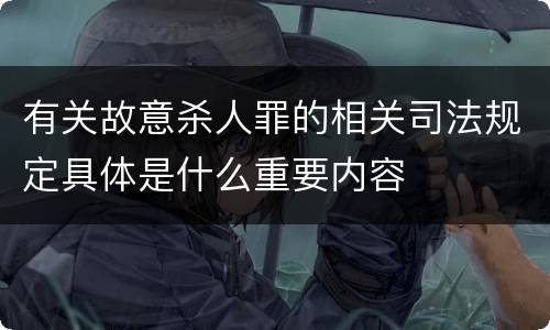 有关故意杀人罪的相关司法规定具体是什么重要内容