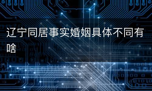 辽宁同居事实婚姻具体不同有啥