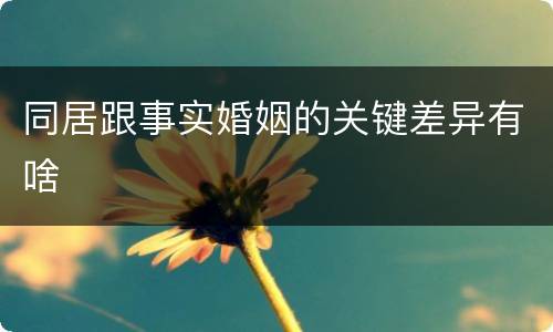 同居跟事实婚姻的关键差异有啥