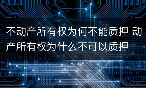 不动产所有权为何不能质押 动产所有权为什么不可以质押